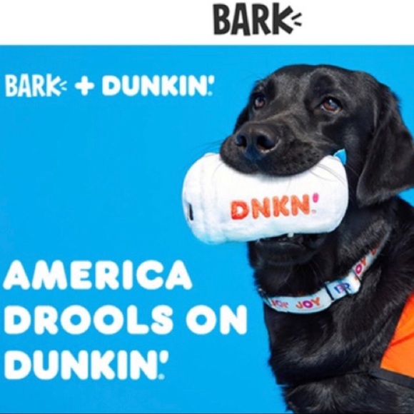 bark box x dunkin’ donuts Dog Bark Box X Dunkin Donuts Dog Puppy